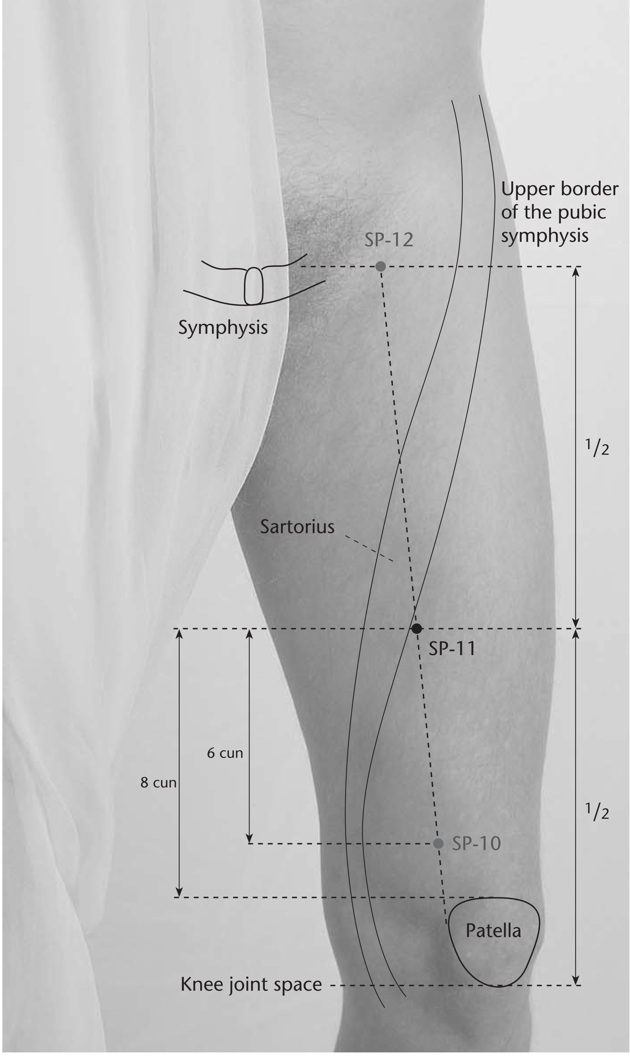 Цзи-мэнь